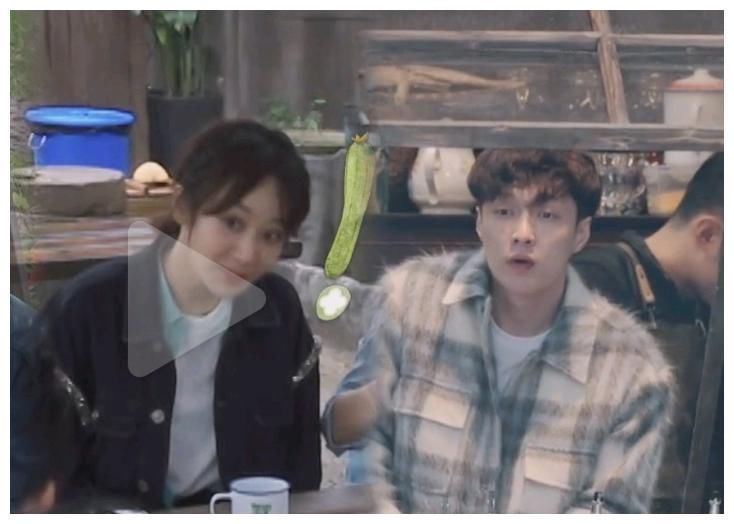 张艺兴|黄磊吓唬杨紫辟谷,杨紫卖惨哭唧唧,张艺兴大秀厨艺讨好她