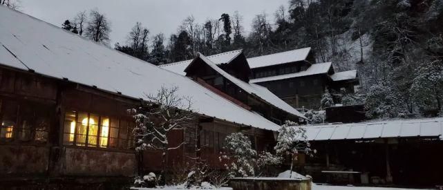 情怀|只下了一场雪，峨眉山又多了这些名场面