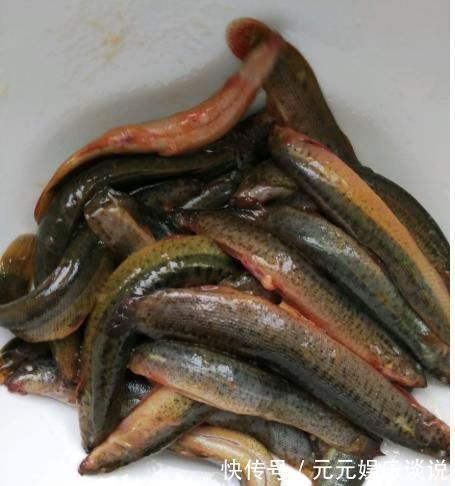 眼下最好吃的鱼,15块钱1斤,味美价廉,肉多刺少,老少皆宜
