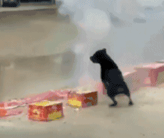 |搞笑段子王:土豪,凉麦子的方式就是跟别人不一样,让别人好羡慕