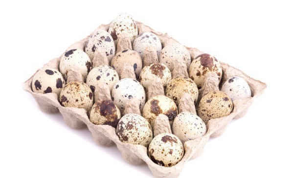 鵪鶉蛋|鵪鶉蛋也是珍貴的“藥材”,堅(jiān)持長期吃,不比燕窩差