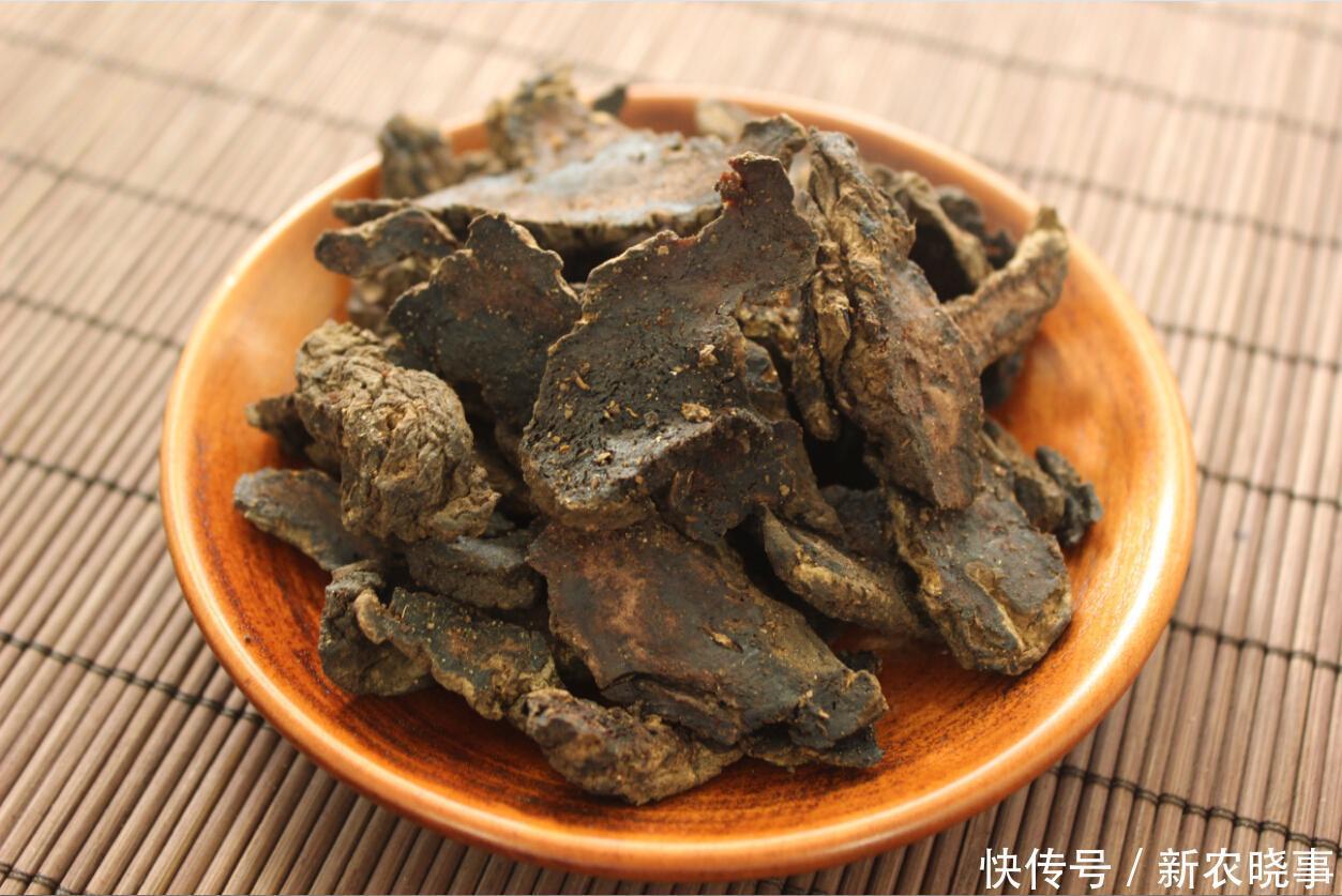 农村常见的野生地黄,你认得出它吗?看完本文,你就知道它的价值