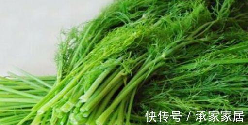 食物|中年人可以多吃四种食物，美容养颜、滋润肌肤，好处多多！