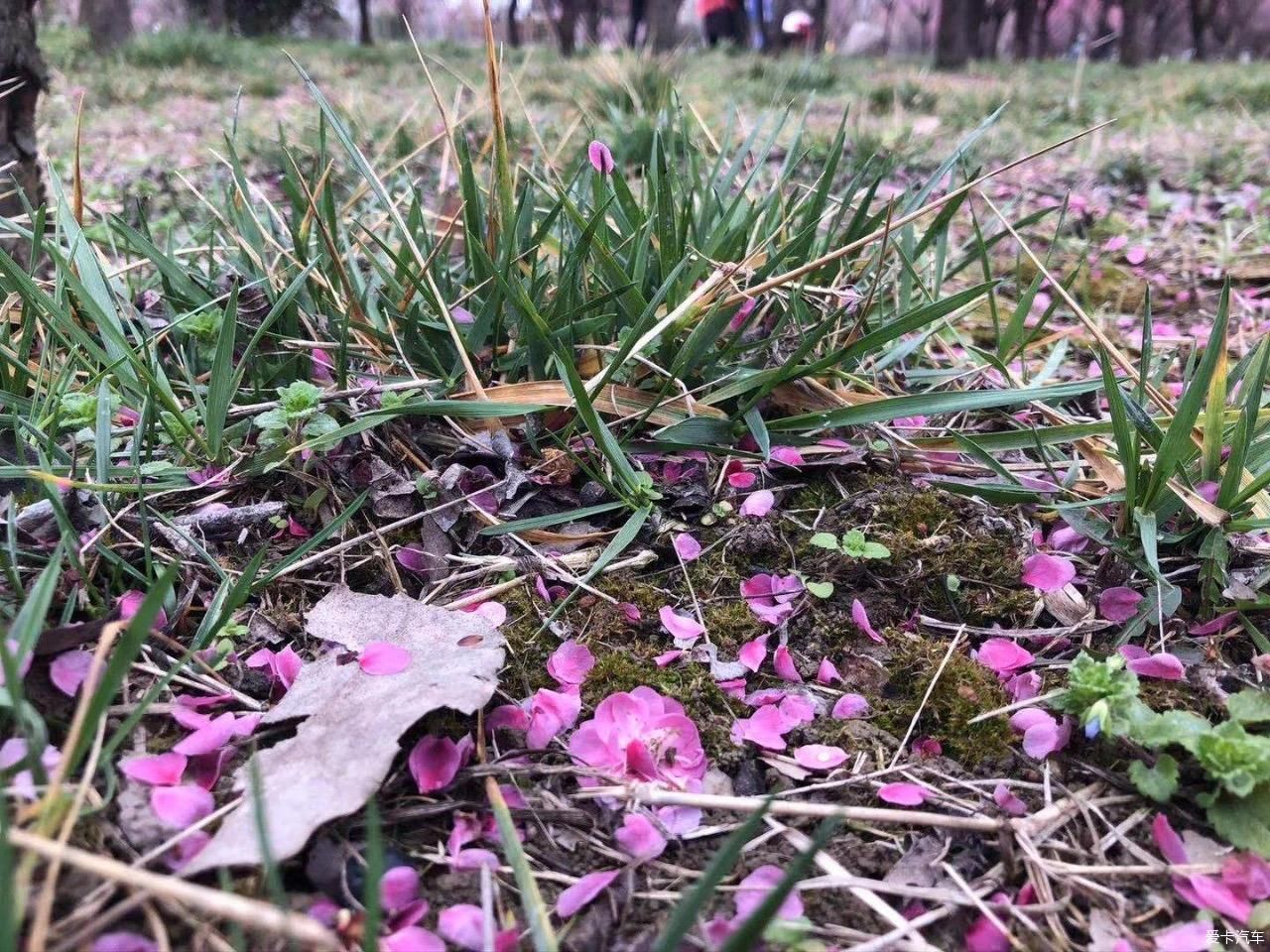 中年|【我与爱车度新年】新春初五踏春季，相约朋友游玩大蜀山