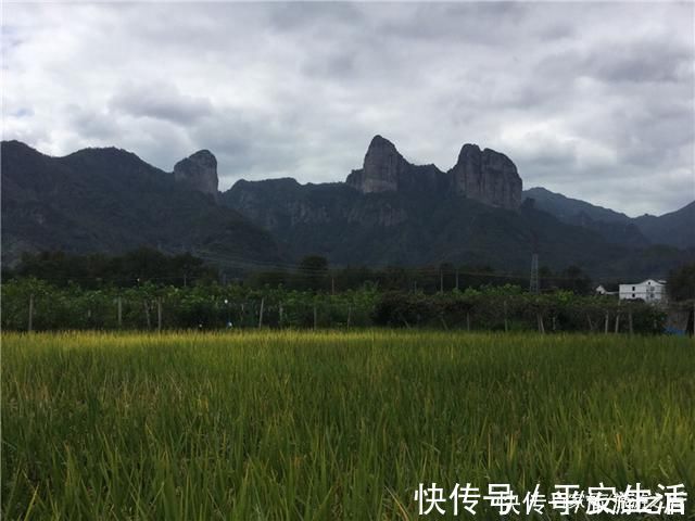 芙蓉村|楠溪江美丽的江南古村，“七星八斗”建筑的代表，原汁原味的感觉