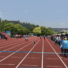 |搞笑GIF:猫:自从这个金毛来到这个家,老子的地位就一落千丈