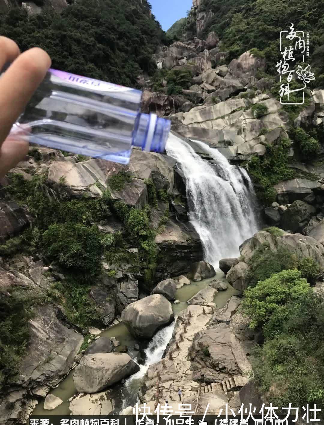 多肉,似星辰大海般的璀璨!