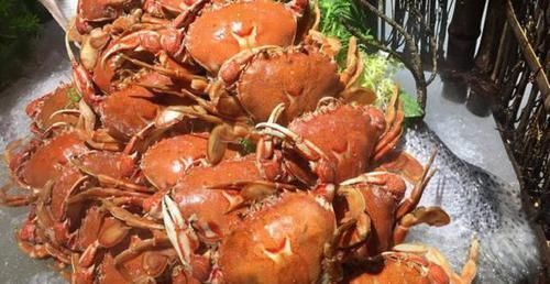 聪明人|聪明人吃自助餐,会拿这3种“隐形贵菜”,最后一种让人意外