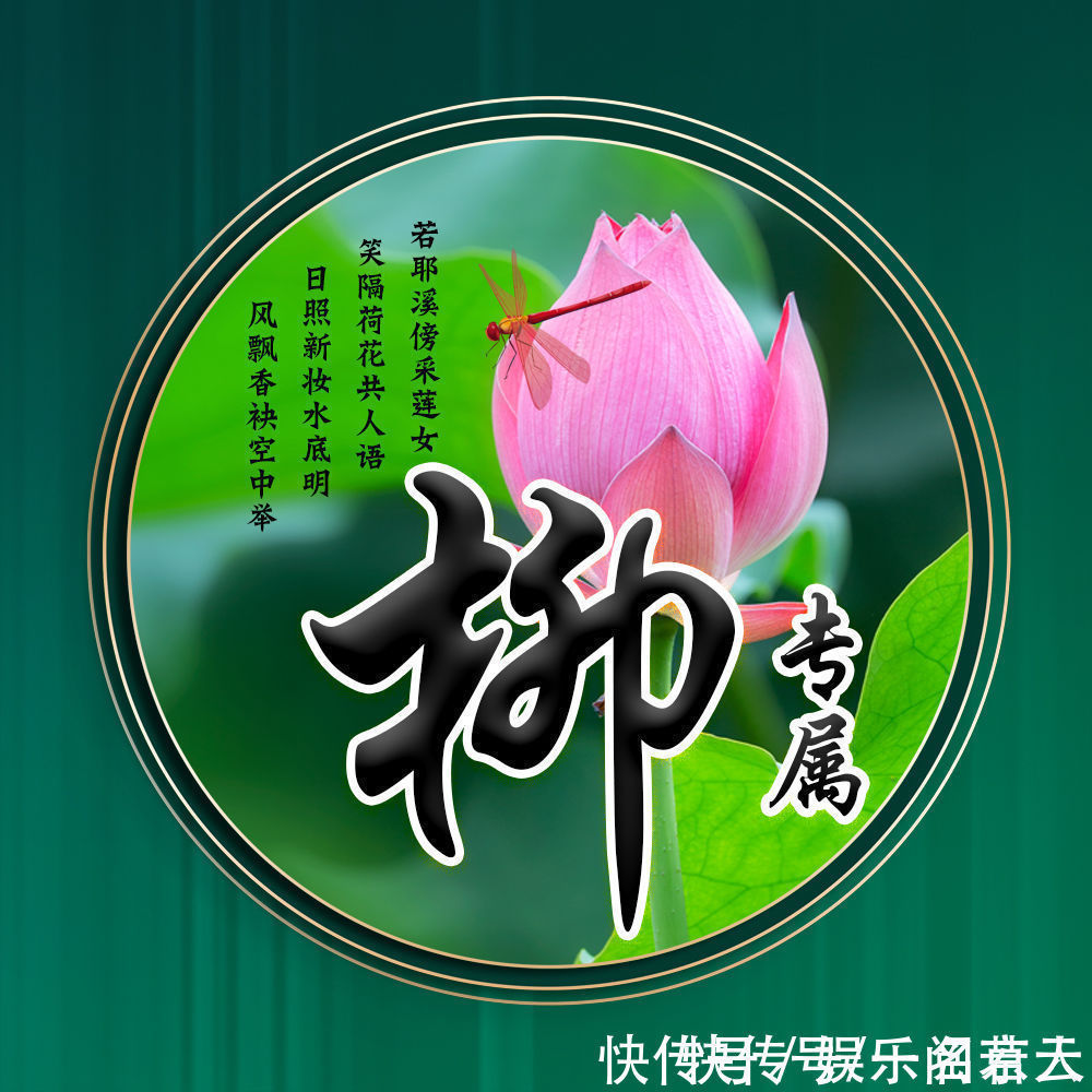 世人大!用你的姓氏当头像,20张唯美荷花大气图片,中国风华丽登场