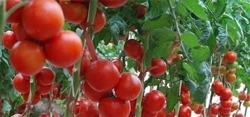 胆固醇|中老年人坚持吃8种食物,高血压远离你,血管年轻20岁,身体更强壮