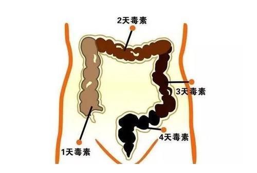 日常生活中|被便秘困扰的人,每天拍100下,或能帮你排出宿便,远离便秘!