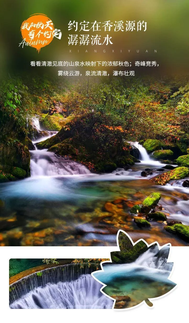 天下风物——《从国庆开始，神农架将迎来“华中屋脊”盛放的秋色！（二）》风光题照