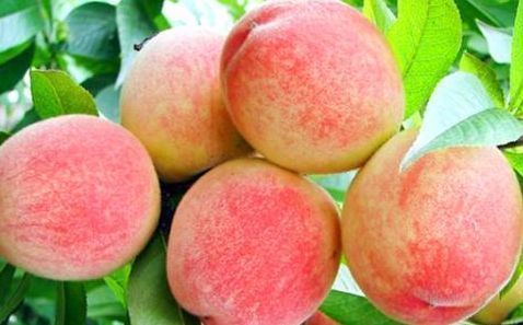 排毒|女性不想子宫“脏脏的”,多吃3种食物,排毒养颜,滋养女性子宫