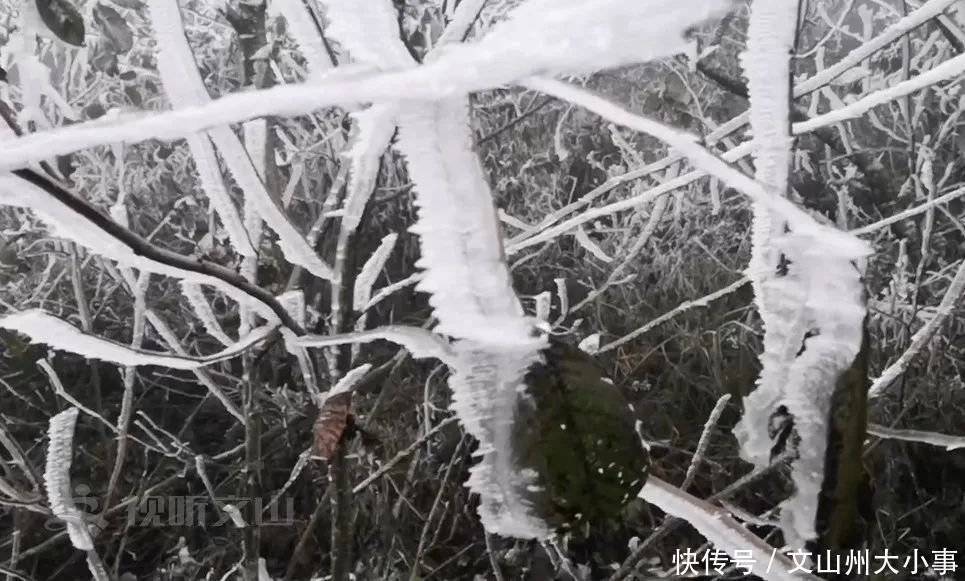 文山州这里惊现“冰雪世界”