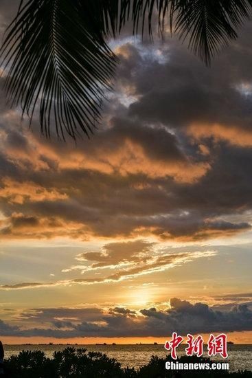 海南省|夕阳下的海口风景如画