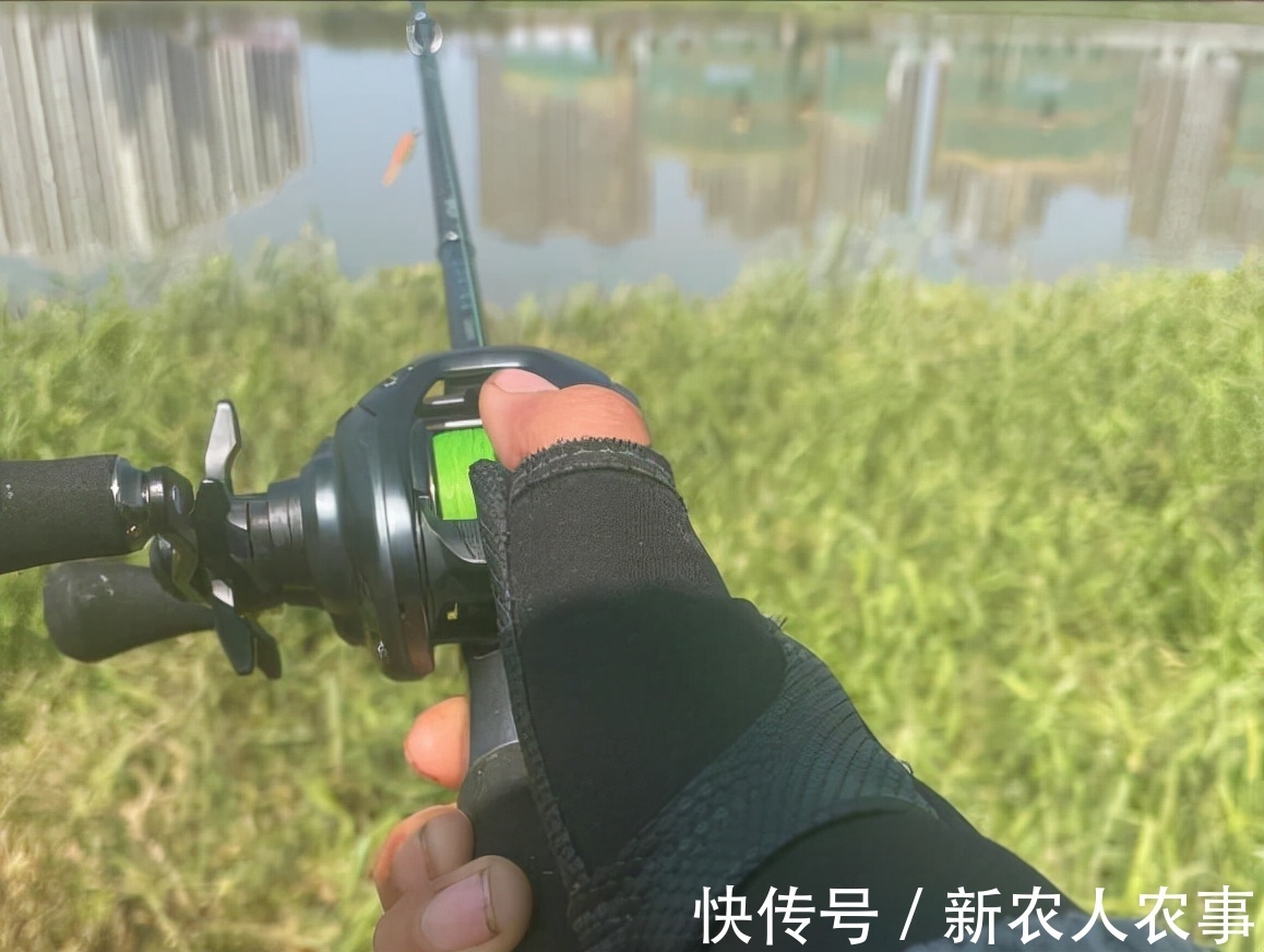 广东一男子的野钓大鱼梦，首次钓获30斤的鲶鱼，激动地举过了头顶