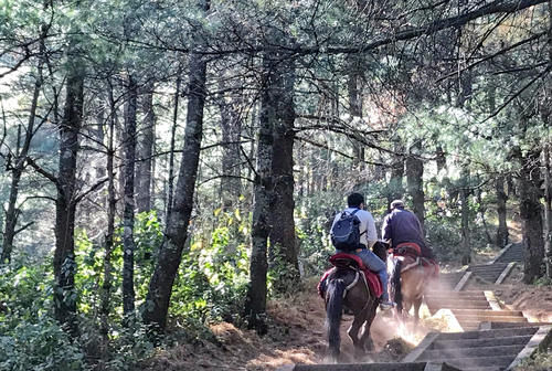 徒步5小时，登上大理苍山中和峰，寻访千年古寺庙