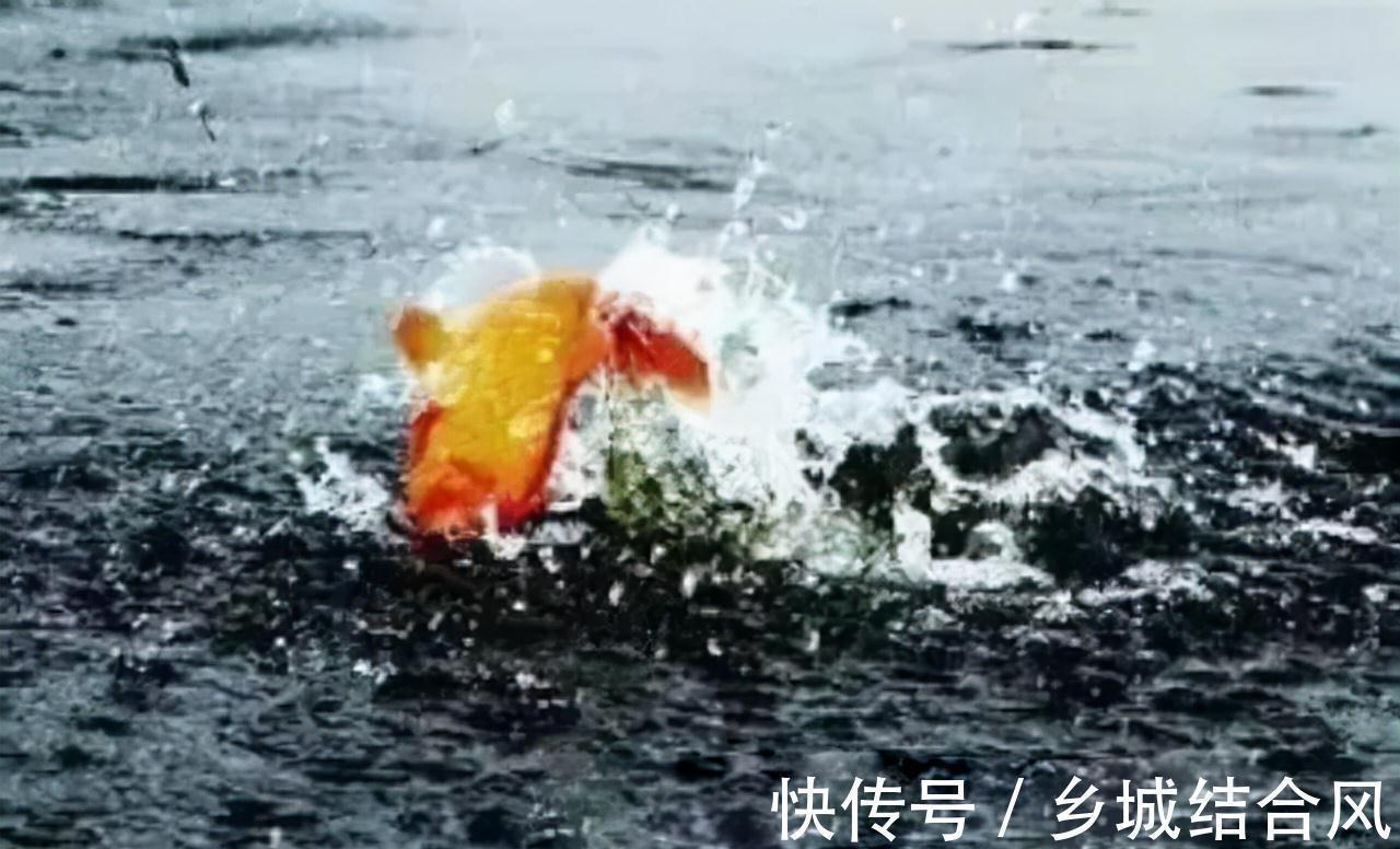 野钓时鱼口突然闭停,是什么原因导致的?如何避开散窝?