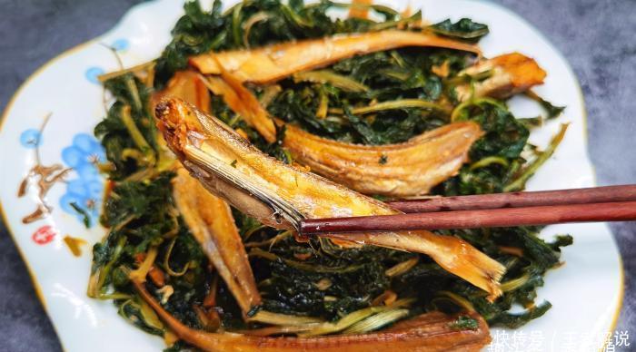很多人只吃果肉,其实叶子才是宝贝,多捡些回家,一晒一烀,真香