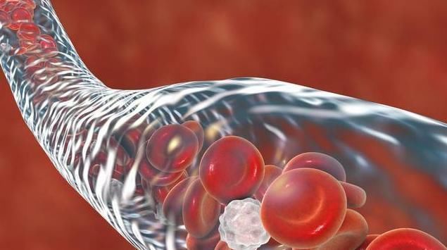 病友们|高血压病友不想“肾早衰”,拖累下半生!降压过程中5点别大意