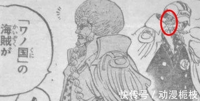 藤虎|海贼王:革命军VS海军本部一战,藤虎被人开了瓢,龙爪手抓伤赤犬