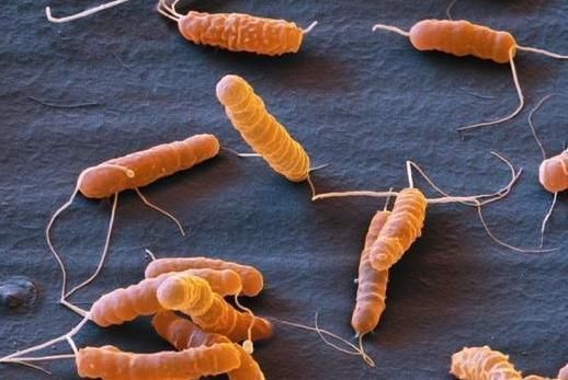 肝脏疾病|肝癌怎么越来越多,医生:有一种水果比喝酒更伤肝,不妨看一看