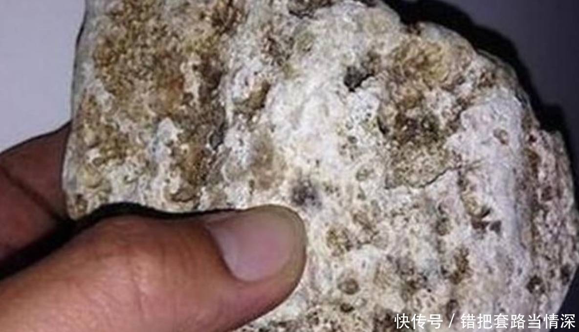 开了花|小伙海边捡了一公斤“屎”,可专家的话,使他乐开了花