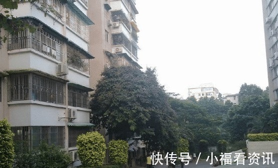 楼层|别管一栋楼有多少层，买房就选3大楼层，升值快又抢手