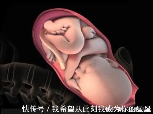 泪奔|顺产的全过程到底是怎样的,生而为人需了解,请勿泪奔