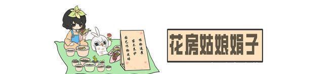 换盆|给君子兰换盆时，底肥不要乱加，会影响到正常的生长发育