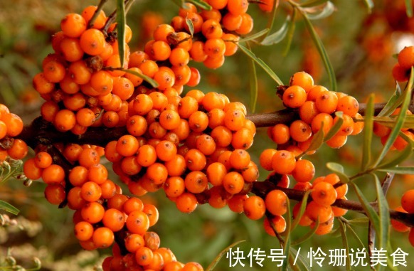 乳腺癌|立秋后,晚上当零食吃几颗,能防乳腺癌,排毒养颜,早食早好