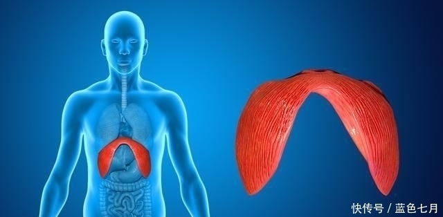 医院|肺癌来前“没感觉”,4种征兆若出现一个,快去医院做“造影”