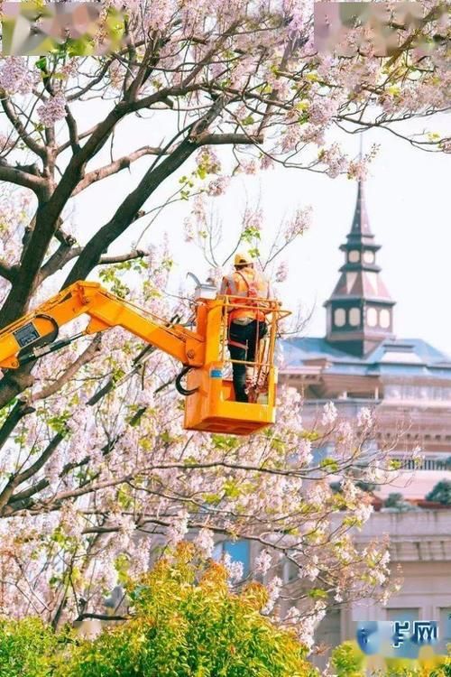 深藏金兰路的这片绝色 不允许你错过