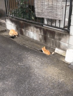 |搞笑GIF:昨天领女友回家吃饭,只顾着看她了,全家人大气都不敢喘一下