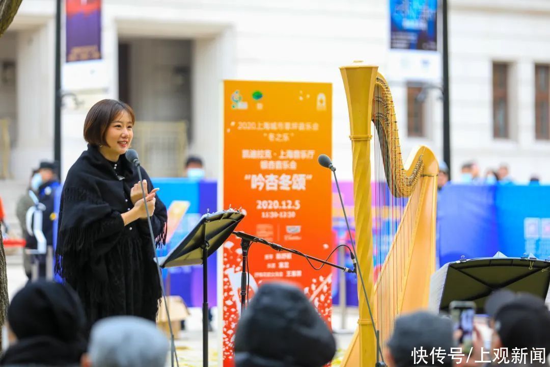  银杏|超唯美！一起在冬日听一场“银杏音乐会”