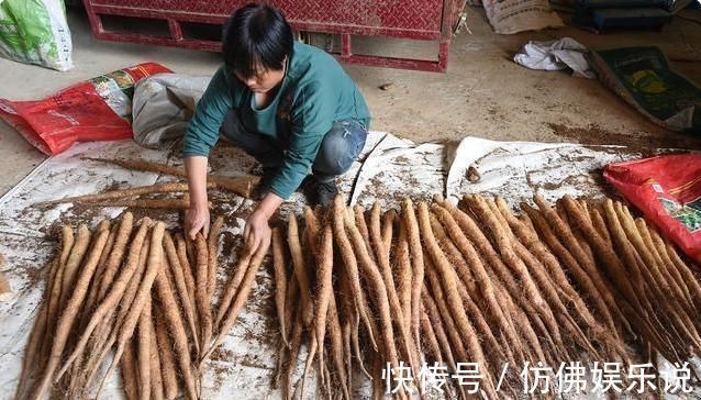 信号|3种信号,是脾胃虚寒!3种食物每天吃,脾胃不虚寒,肠胃更活力