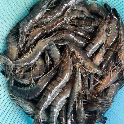 柠檬虾|好吃到飞起的爽口柠檬虾，这样做0失败