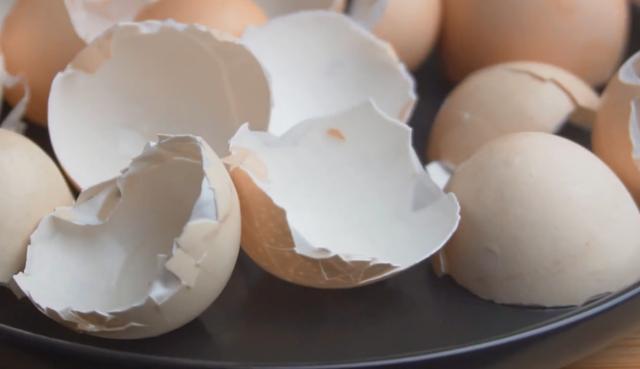 废油|厨房里这3样垃圾,废油、鸡蛋壳、淘米水,拿来养花效果一级棒