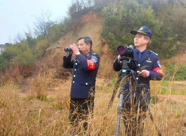 国庆我在岗：他们坚守鄱阳湖护候鸟平安|读图 | 老陶