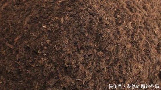 妖教|养花必修课,蓝妖教你认识最前沿的种植基质