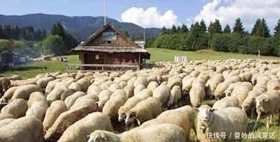 洞悉人性,世界上著名的十大定律,你知道几条