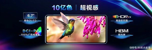 荣耀小米|「科技犬」“轻奢版”5G手机盘点：摩托罗拉荣耀小米魅族 四款可选