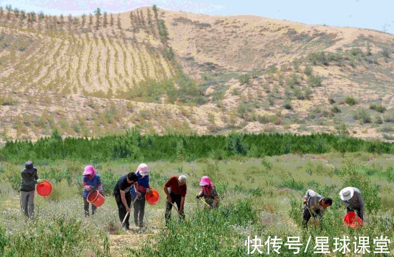 治沙|中国第一个即将消失的沙漠，面积远超海南岛，治沙奇迹如何出现？