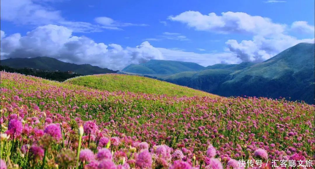 厦门|8个国内五月最美的地方，别辜负了这么美的初夏！