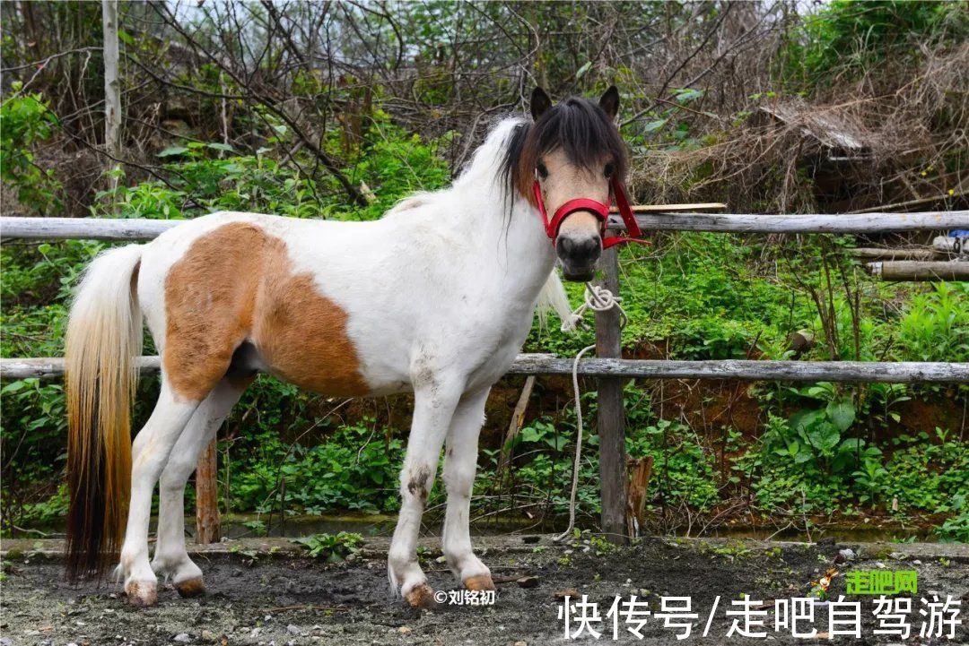 自驾|北上看雪，南下看花，这12个地方承包年末旅行