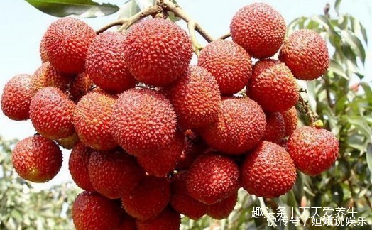 土芒果|到了三伏天,4种水果尽量少碰,尤其是第三种,以后最好少买!