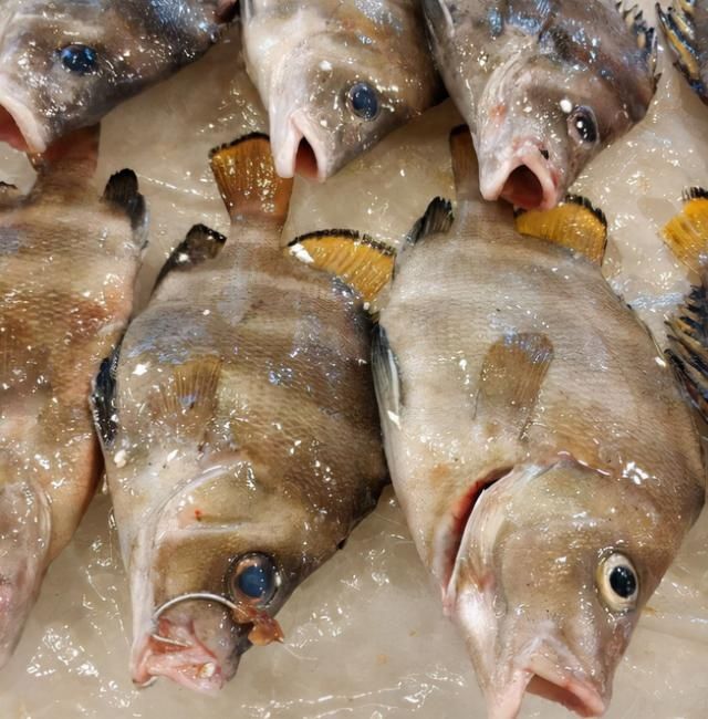 氨基酸|含“寄生虫”最多的3种海鲜，没营养还贵，老板自己从不吃