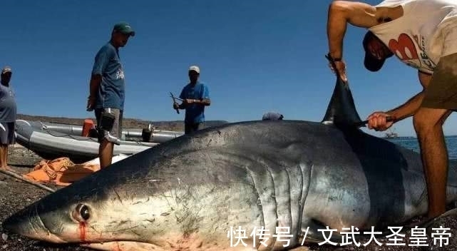 一日三餐|“有钱人”一日三餐都吃什么？看完背后，网友：给十万也不吃