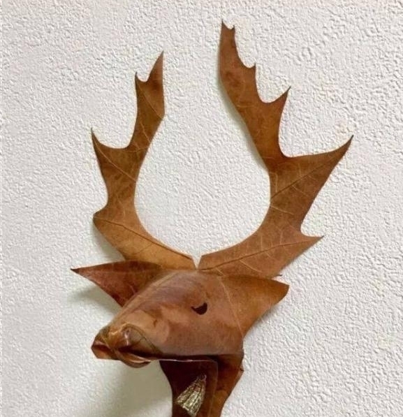 折纸|日本女网友凭借折纸裁剪手艺，将花草变成治愈人心的作品走红网络