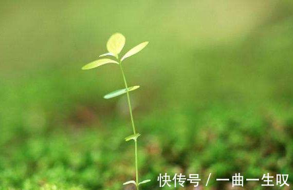 泡脚|坚持养生3件事,或可帮你“早上养胃,中午养心,晚上养百脉”